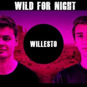 WildForNight - Willesto